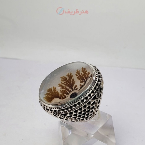 خرید، قیمت و مشخصات، انگشتر شجر منظره کلکسیونی کیفیت عالی رکاب فدیوم درجه یک، زیر قیمت بازار _ هنرظریف